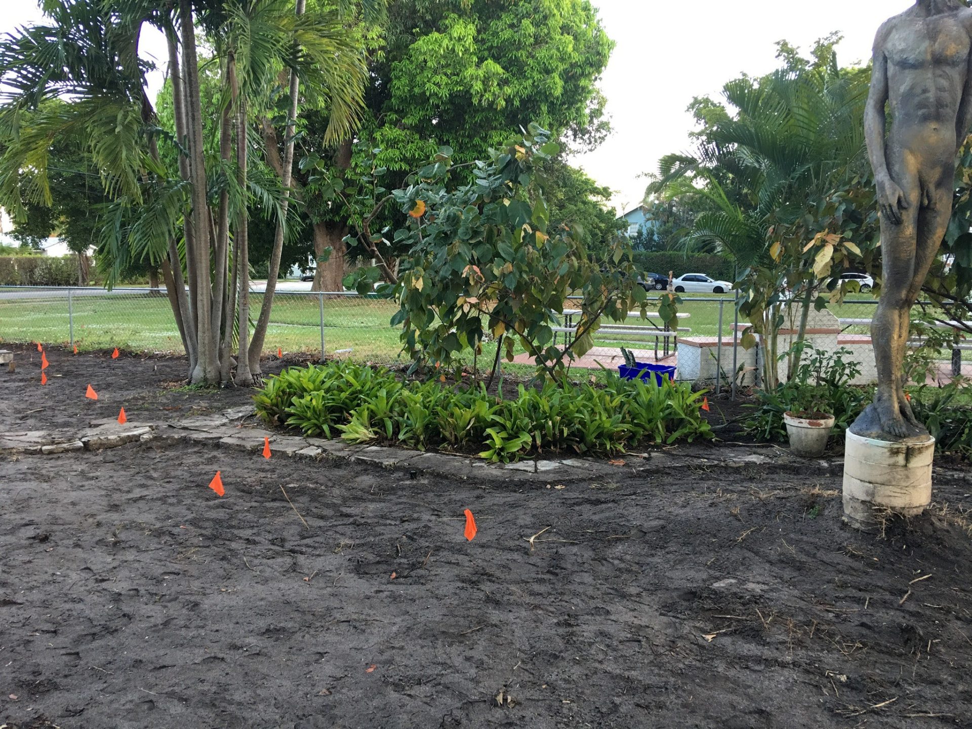 Landscape renovation site marked for preparation around existing trees and planting beds