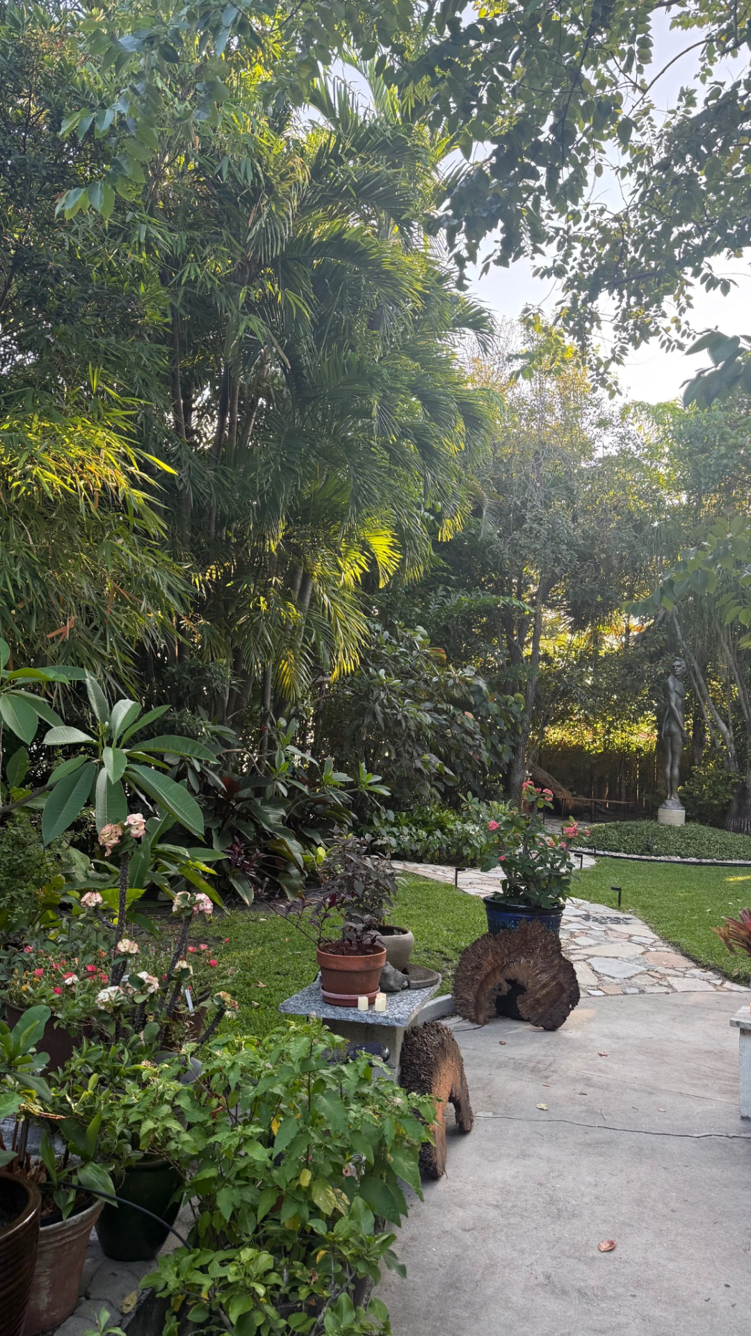 Lush tropical garden with layered palms, flowering plants, lawn and a curving walkway