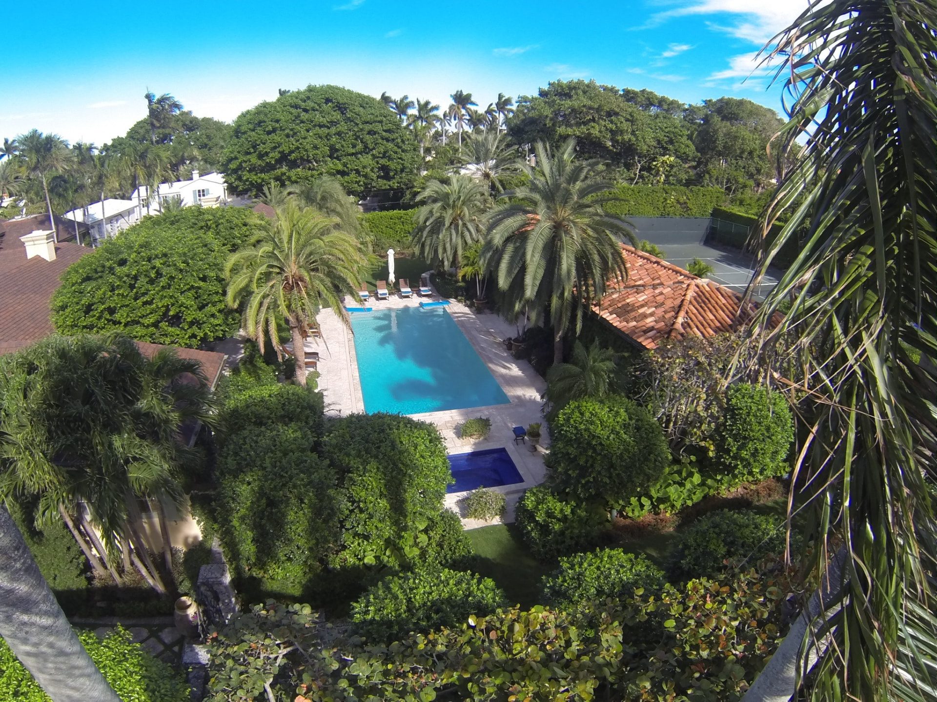 Elevated view of a residential pool surrounded by mature palms, hedges and tropical planting