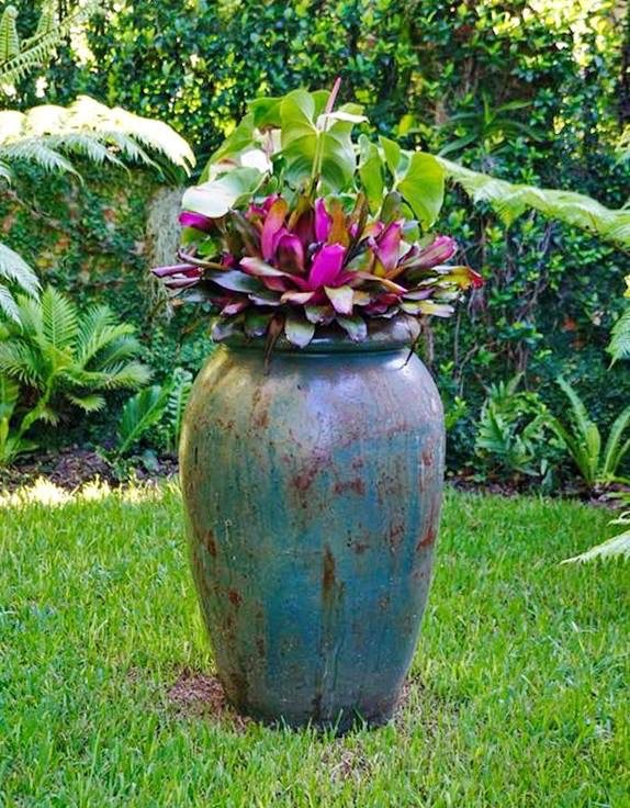 Glazed garden container planted with bromeliads and tropical foliage on a lawn