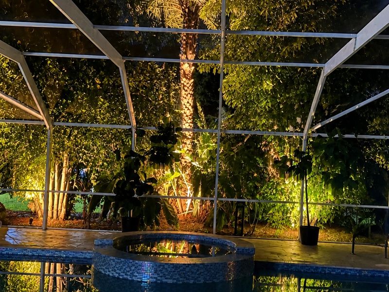 Palm Beach garden and pool area in the evening with uplighting on the trees and planting