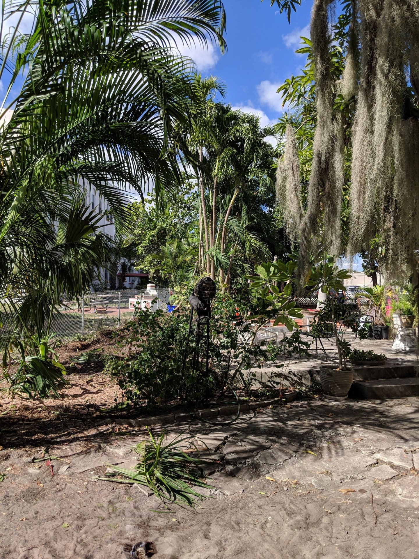 Tropical garden area with exposed soil and loose plant material during landscape work