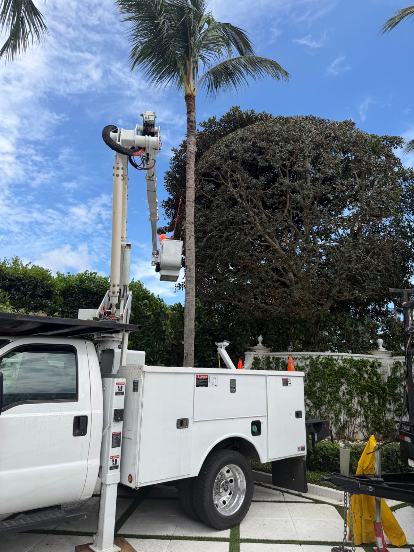 Arbor Tree and Landscape trimming and shaping a tree from a bucket truck