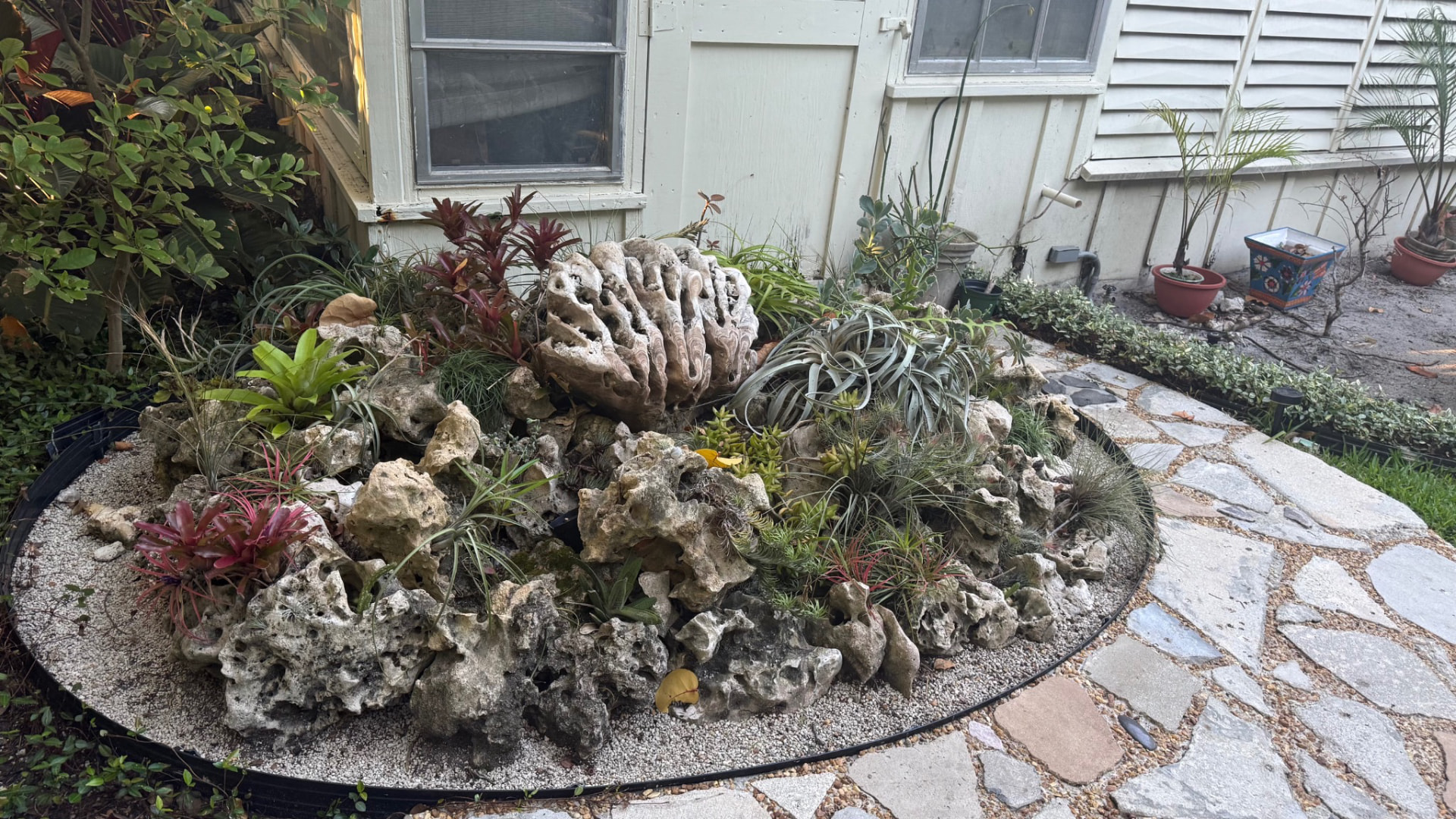Detailed garden bed with coral stone, bromeliads, air plants and a natural stone path